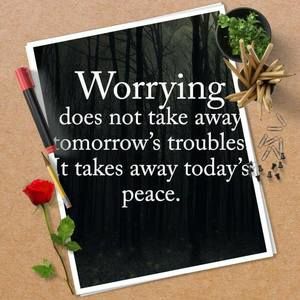 Meet your Posher, Terry